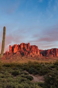 Arizonian RV Resort — Scenic Sonoran Desert landscape with a Saguaro Cactus at sunset in the Superstition Mountains at Lost Dutchman State Park