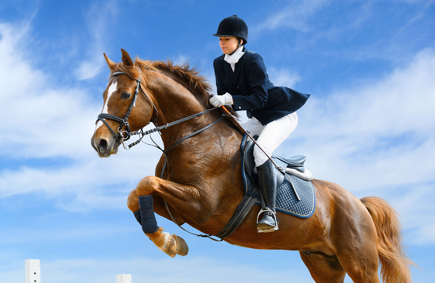 Young girl on horse jumping over obstacle.