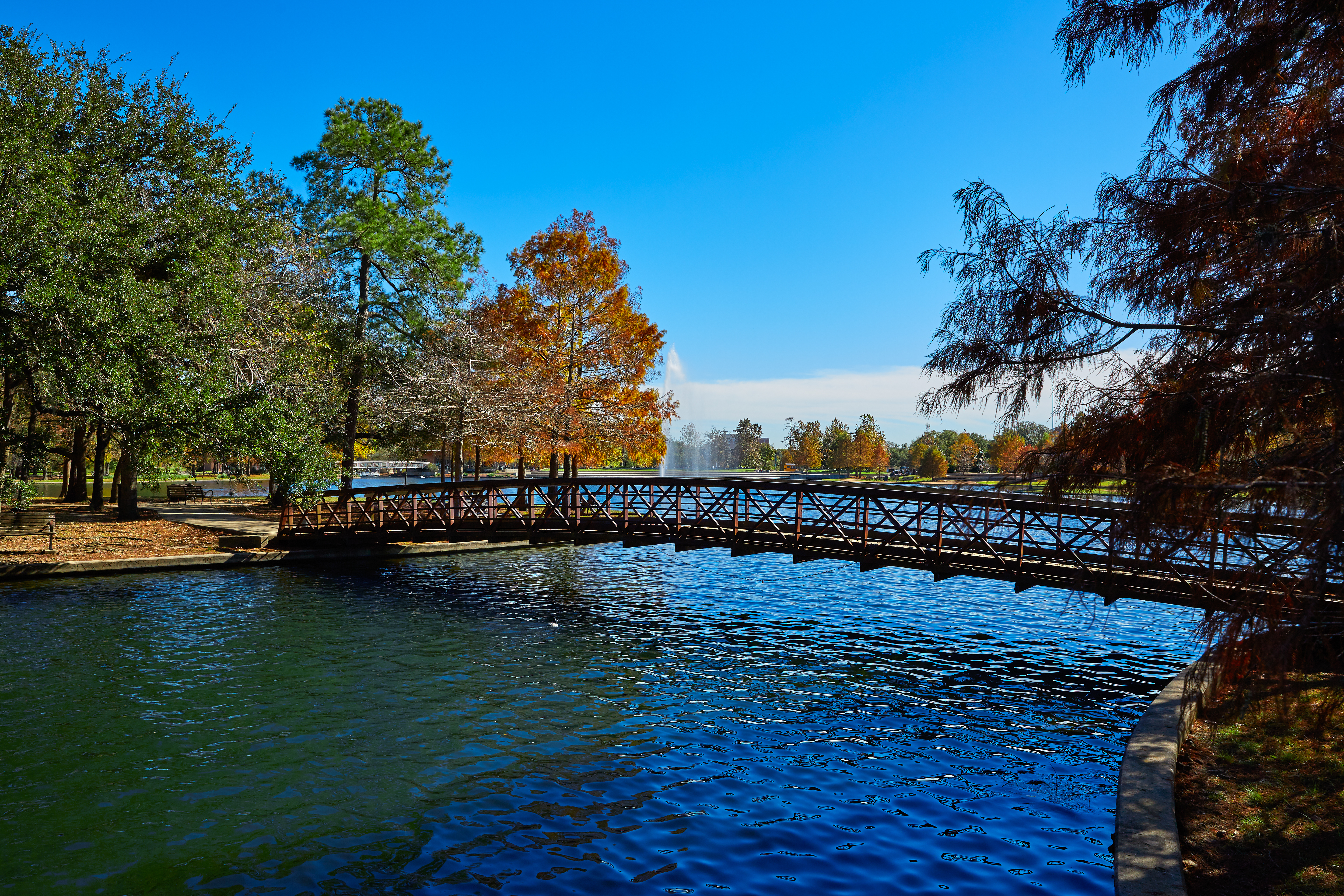 A bridge arcing over a lake.