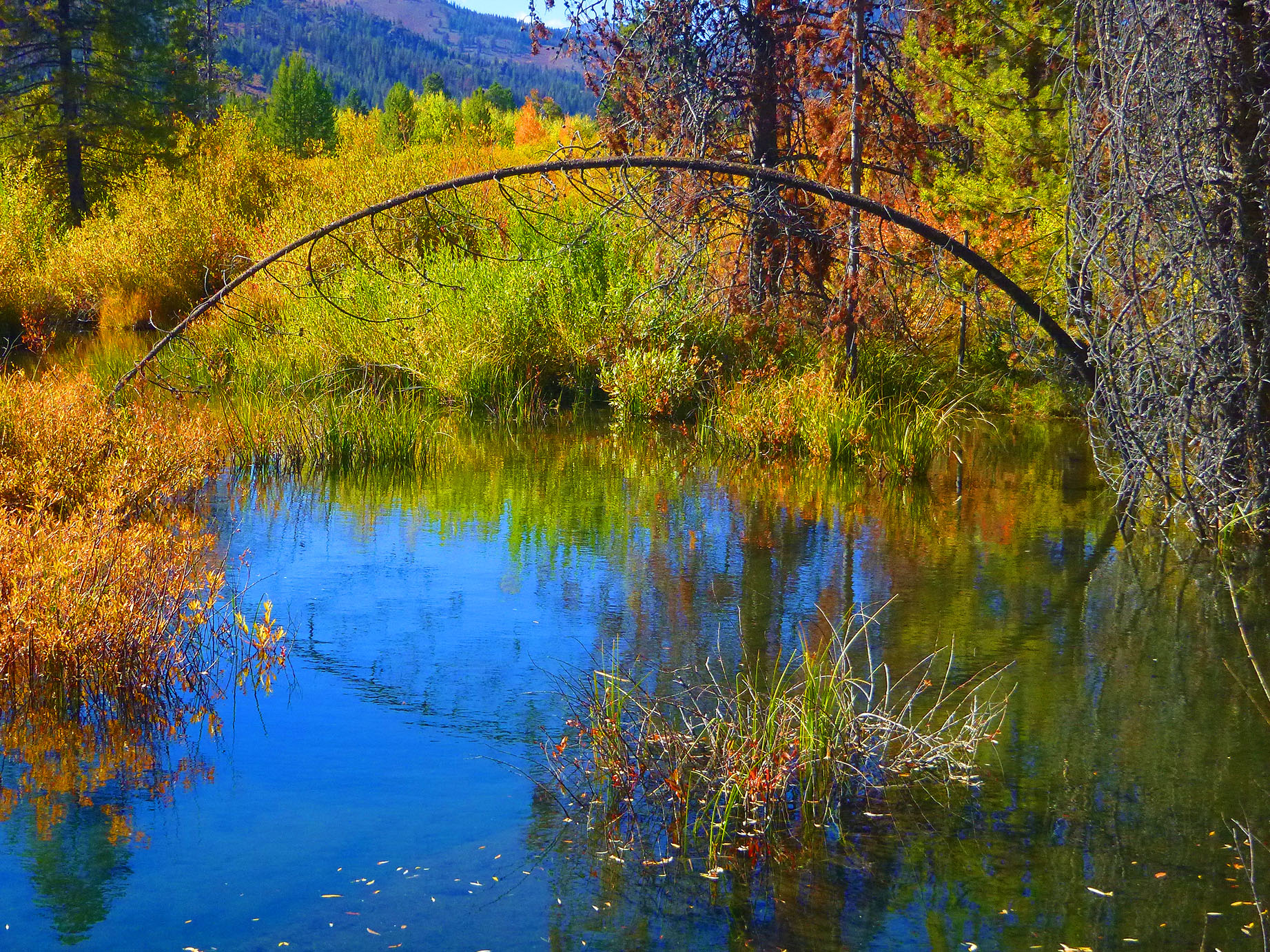 Everything changes colors, the air is crisp, and there is a gorgeous stillness to the early fall air in idaho.