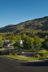 Pechanga RV Resort — View of RVs parked in tree-lined sites at foot of a hill.