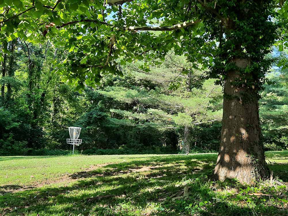 Disc golf hole in grassy meadow.